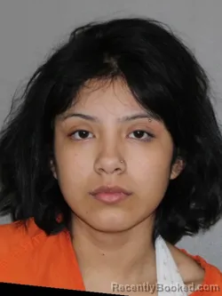 Mugshot of Krystal Leon booked in Denton County, Texas on June 15, 2026