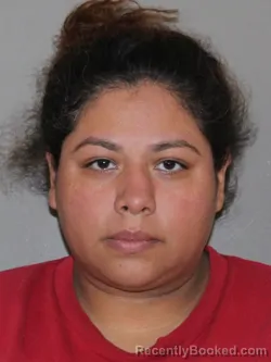 Mugshot of Paola Saavedra booked in Denton County, Texas on July 6, 2026