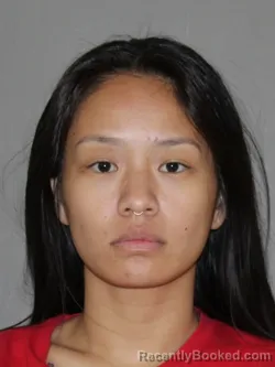 Mugshot of Annika Hui booked in Denton County, Texas on July 9, 2026