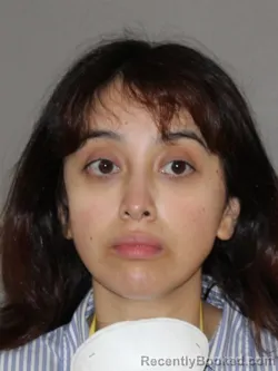 Mugshot of Ana C Torres-Martinez booked in Denton County, Texas on August 12, 2026
