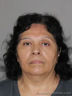 Mugshot of Guadalupe Garcia Mesta booked in Denton County, Texas on August 12, 2026