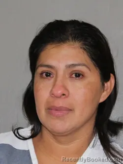 Mugshot of Maria D Ramirez booked in Denton County, Texas on August 13, 2026