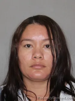 Mugshot of Yhonnitza M Vallejo Torres booked in Denton County, Texas on August 14, 2026