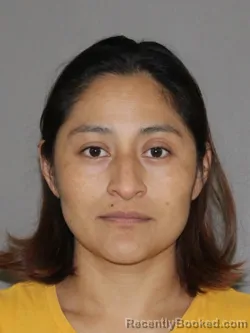 Mugshot of Odilia Santiago Martinez booked in Denton County, Texas on August 14, 2026