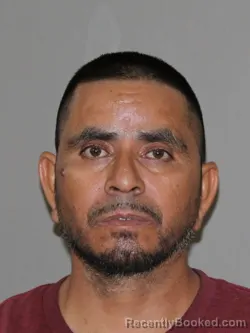 Mugshot of Jorge Palomino booked in Denton County, Texas on August 15, 2026