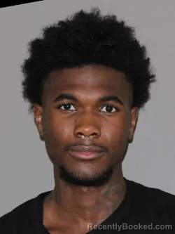 Mugshot of Javion L Page booked in Denton County, Texas on August 15, 2026