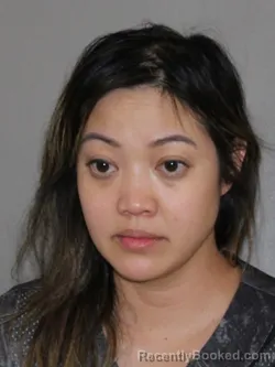 Mugshot of Vi T Phung booked in Denton County, Texas on August 16, 2026