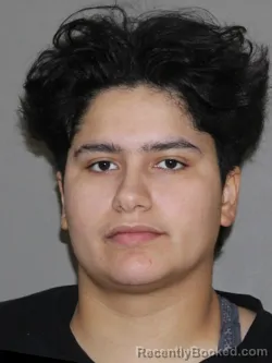 Mugshot of Jasmin G Ballesteros booked in Denton County, Texas on August 18, 2026