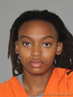 Mugshot of D'niya C Adams booked in Denton County, Texas on August 23, 2026