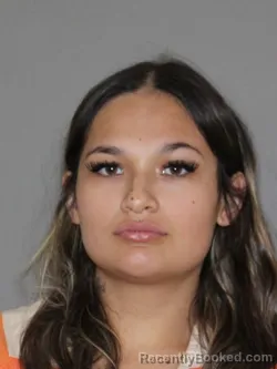 Mugshot of Bianca C Salinas booked in Denton County, Texas on September 3, 2026