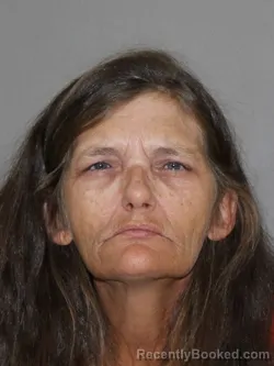 Mugshot of Theresa S Ward booked in Denton County, Texas on September 20, 2026