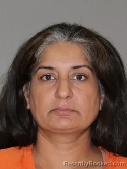 Mugshot of Syeda Hassanieh booked in Denton County, Texas on September 26, 2026