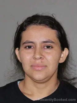 Mugshot of Aleyda Reyes Perez booked in Denton County, Texas on September 29, 2026