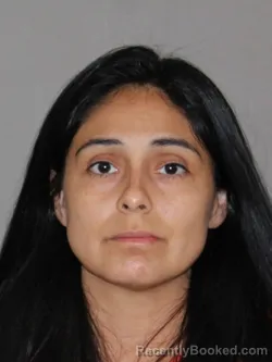 Mugshot of Holly L Flores booked in Denton County, Texas on October 6, 2026