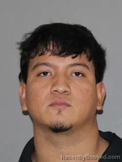 Mugshot of Emerson D Castillo Marez booked in Denton County, Texas on October 13, 2026