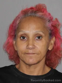 Mugshot of Maria T Lopez booked in Denton County, Texas on October 15, 2026