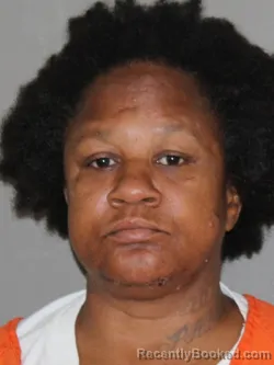 Mugshot of Yulanda J Bhattarai booked in Denton County, Texas on April 11, 2026