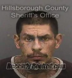 Booking photo from Hillsborough County, Florida