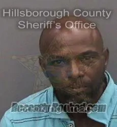 Booking photo from Hillsborough County, Florida
