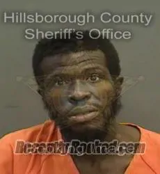Booking photo from Hillsborough County, Florida