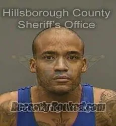 Booking photo from Hillsborough County, Florida