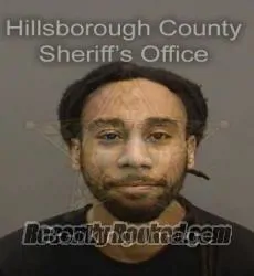Booking photo from Hillsborough County, Florida