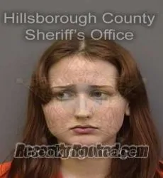 Booking photo from Hillsborough County, Florida