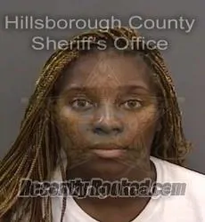 Booking photo from Hillsborough County, Florida