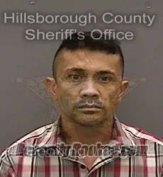 Booking photo from Hillsborough County, Florida