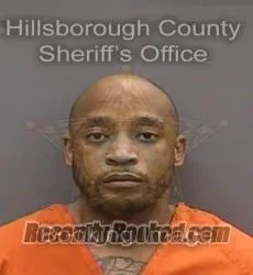 Booking photo from Hillsborough County, Florida