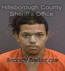 Booking photo from Hillsborough County, Florida
