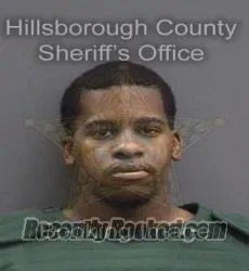 Booking photo from Hillsborough County, Florida
