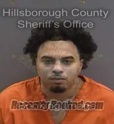 Booking photo from Hillsborough County, Florida