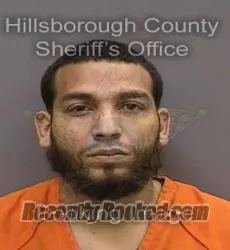 Booking photo from Hillsborough County, Florida