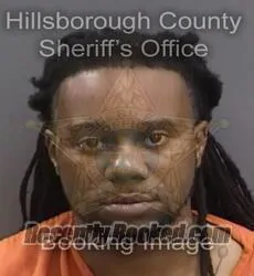 Booking photo from Hillsborough County, Florida