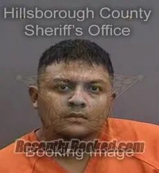 Booking photo from Hillsborough County, Florida