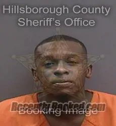 Booking photo from Hillsborough County, Florida