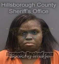 Booking photo from Hillsborough County, Florida