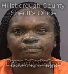 Booking photo from Hillsborough County, Florida