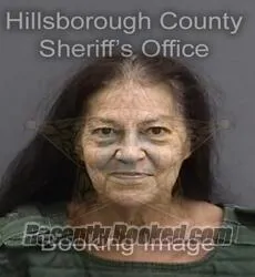 Booking photo from Hillsborough County, Florida