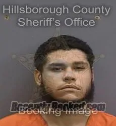 Booking photo from Hillsborough County, Florida