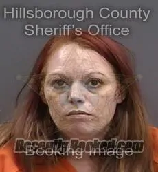 Booking photo from Hillsborough County, Florida