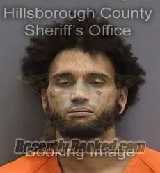 Booking photo from Hillsborough County, Florida