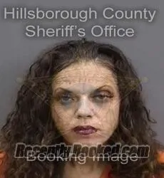 Booking photo from Hillsborough County, Florida