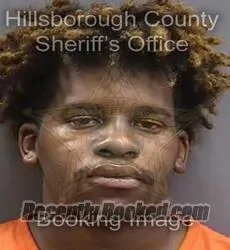 Booking photo from Hillsborough County, Florida