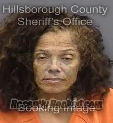 Booking photo from Hillsborough County, Florida