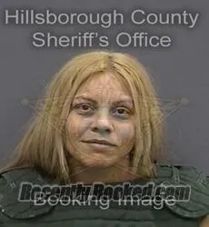 Booking photo from Hillsborough County, Florida