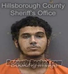Booking photo from Hillsborough County, Florida