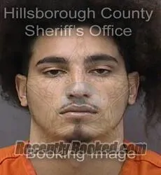 Booking photo from Hillsborough County, Florida