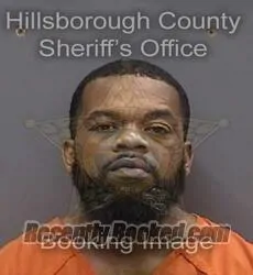 Booking photo from Hillsborough County, Florida